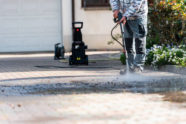 Best Roof Pressure Washing  in Kingsburg, CA